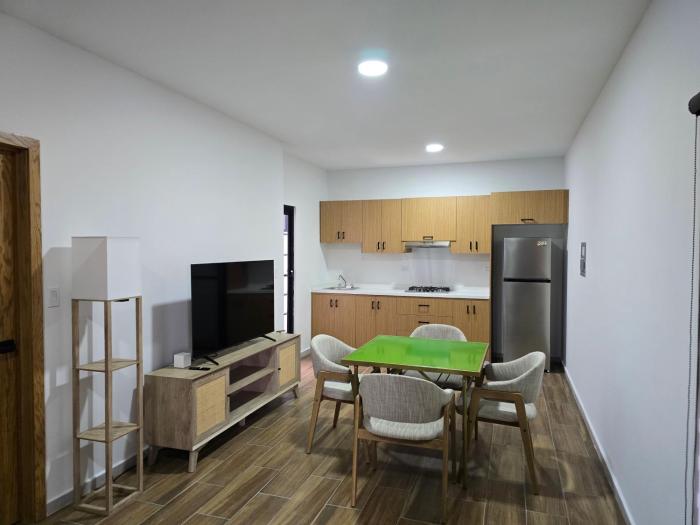 Nuevo y céntrico apartamento