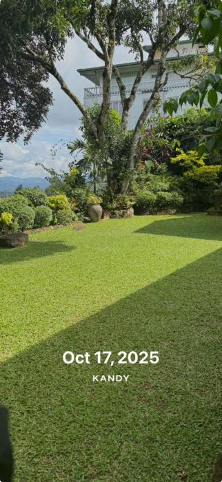 Kandy summerhill bungalow