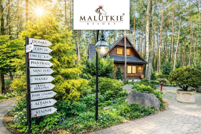 Klimatyczne Domki - Całoroczne