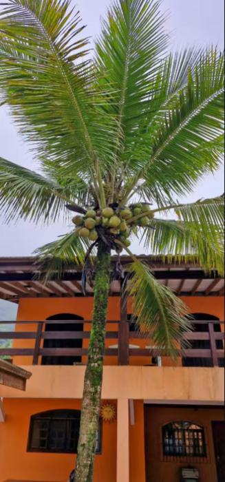 Pousada Menino do Rio