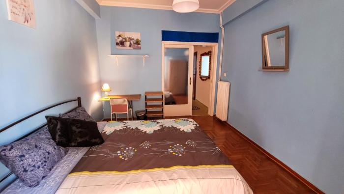 Cosy executive room in beautiful n quiet flat