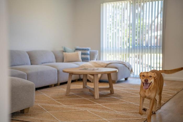 The Palms Beach House- Sauna, Pet-friendly, Beach!