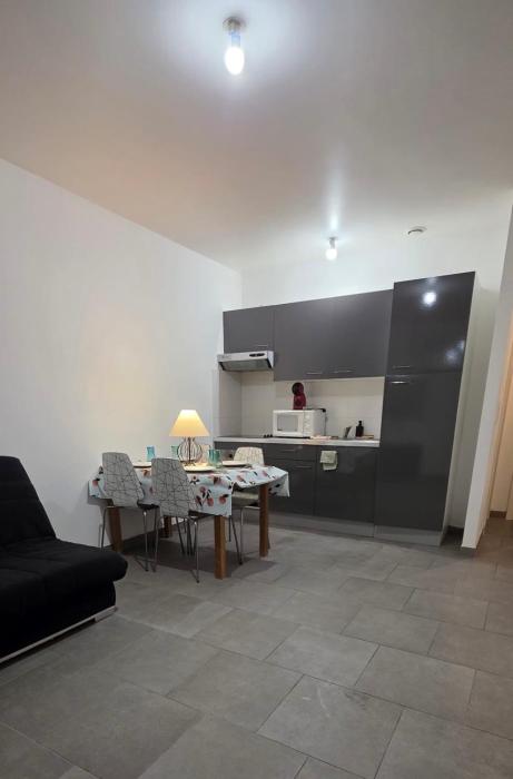 appartement cosy 1 chambre