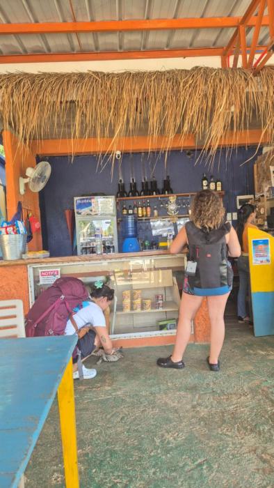 Camotes Hostel Resort Fan Rooms