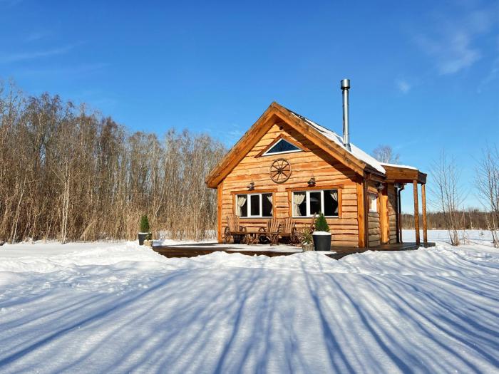 Hobu House - a Cozy, Private Cabin by the Forest near Haapsalu