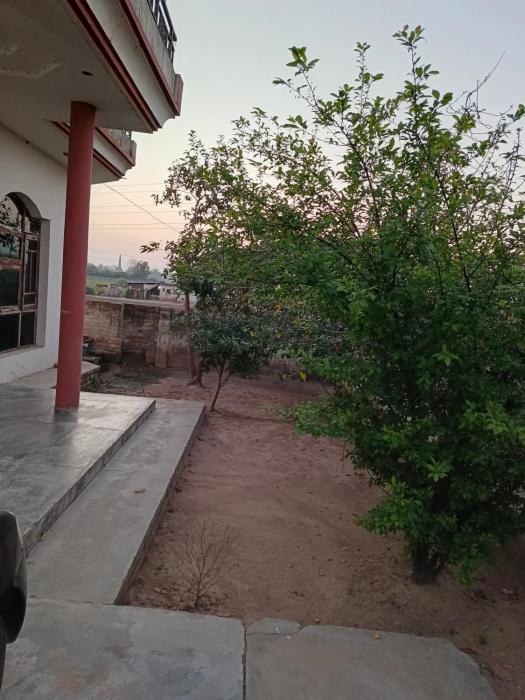 Padda Farm house