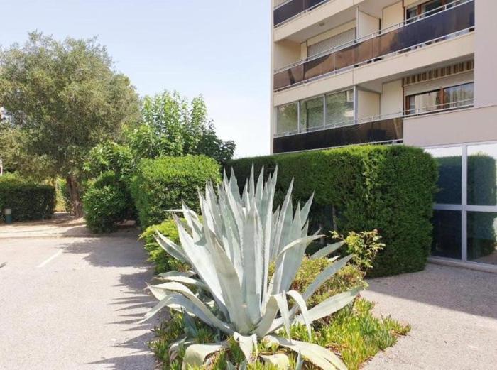 Un Date Love au bord de la Piscine