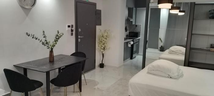 Luxury Semi-Basement Suite Athens