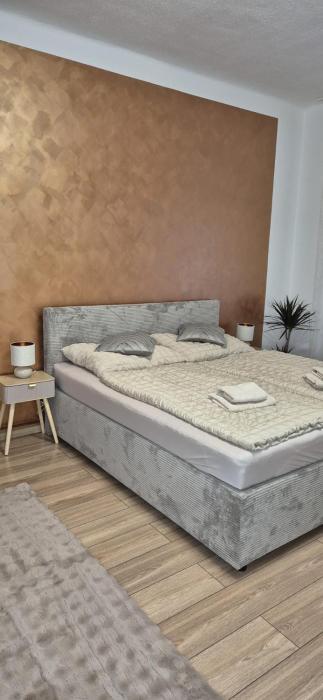 Hradecký apartmán LUXURY