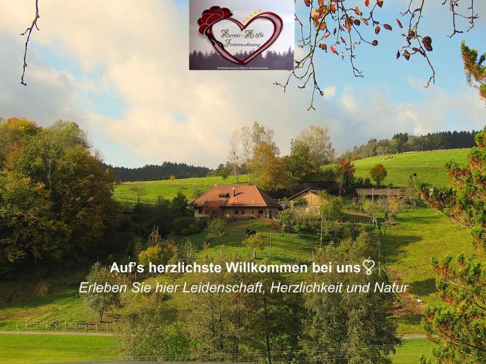 Hernis-Höfle 5 Sterne "Wohlfühlambiente " im Elztal