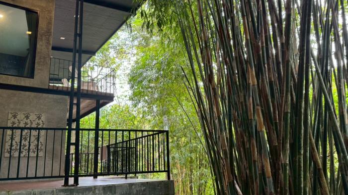 Khaolak Nature House