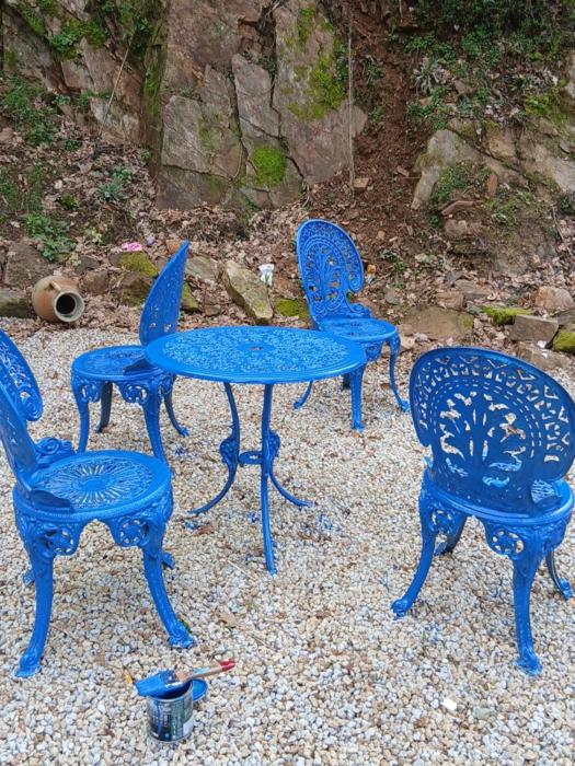 La maison bleue