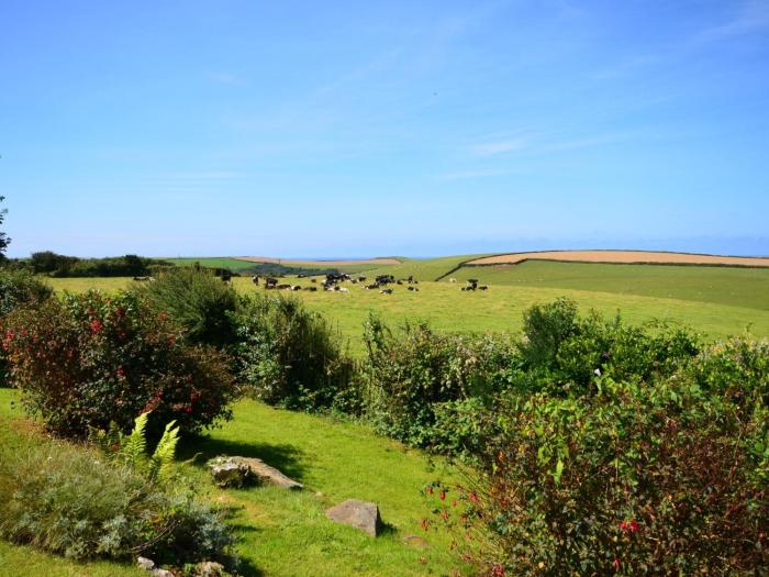 4 Bed in Trelights 44398