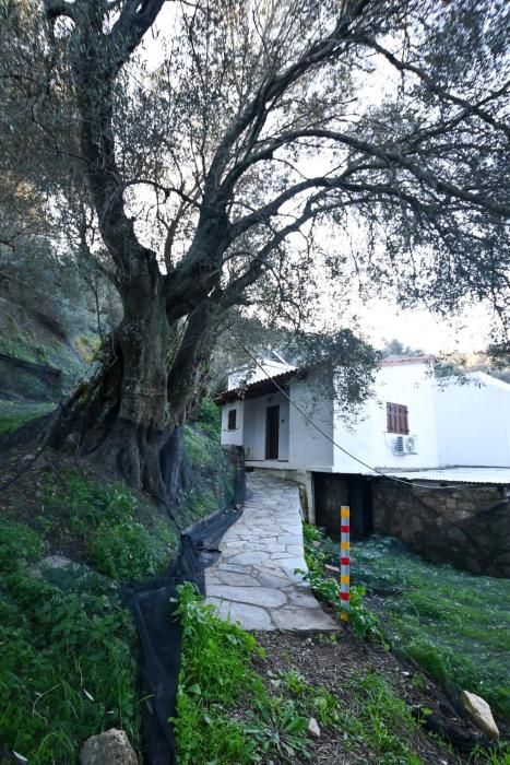 Chania Hillside 2BD Home - Nature & Comfort by ΜΡS