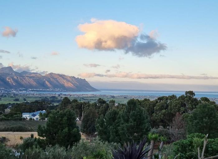 13 Olives, Entire Grape & Olive Estate, Somerset West by Euphoric Leisure