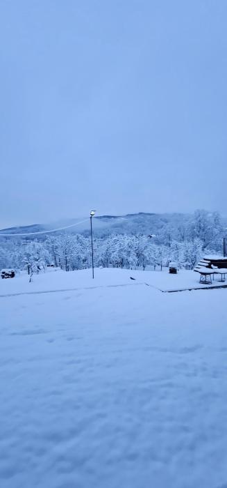 Zen Resort and Winery