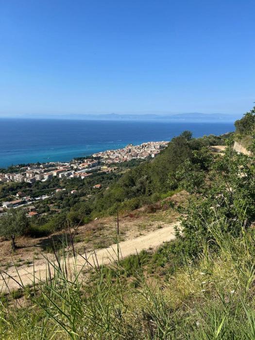 Tropeas green terrace