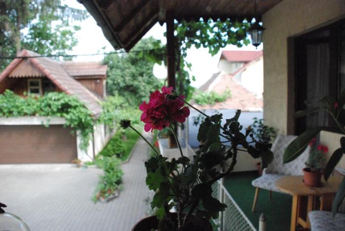 Saxon house&garden - half villa