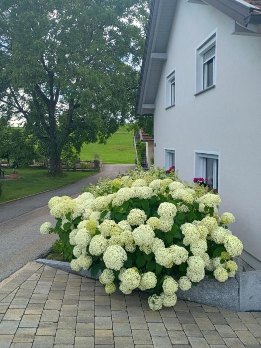 Landhaus Eichberger