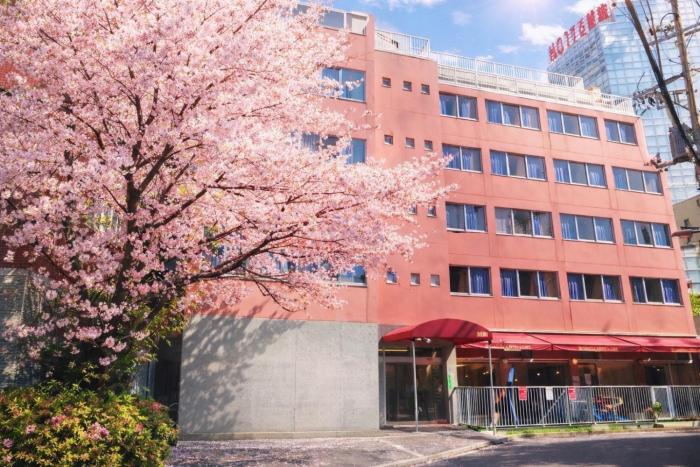 Sakura Hostel Asakusa