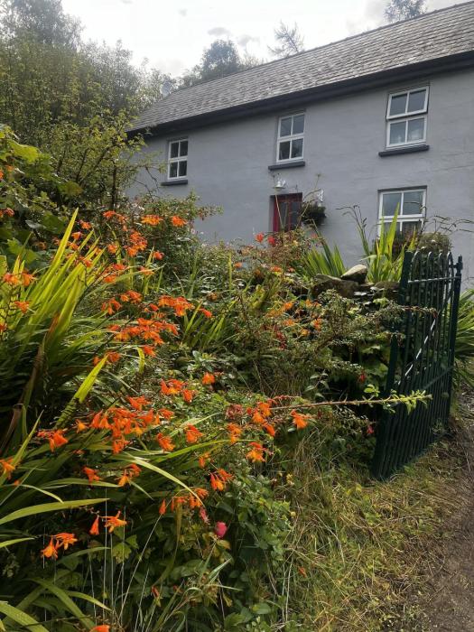 Sleebo Two Bedroom Farmhouse