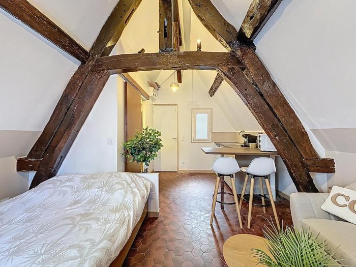 Studio center historique - Le refuge de lantiquaire