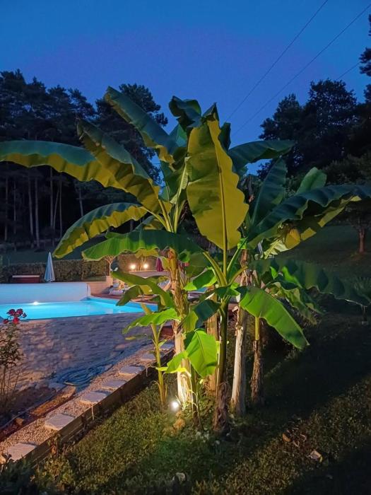 La Marceline Gîte avec piscine près de Lascaux IV