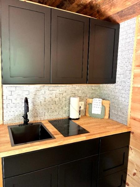 Jasper Tiny Home Hideaway with Wood-Burning Hot Tubs