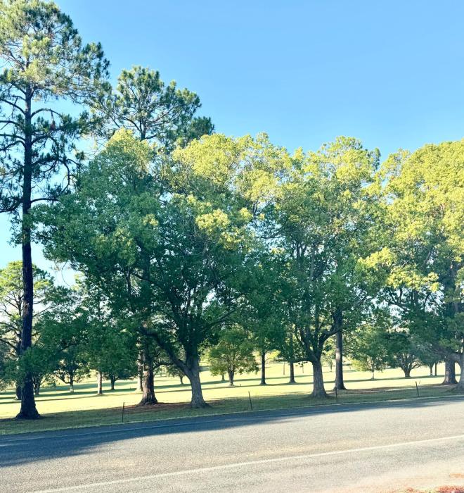 The Fairway View Apartment