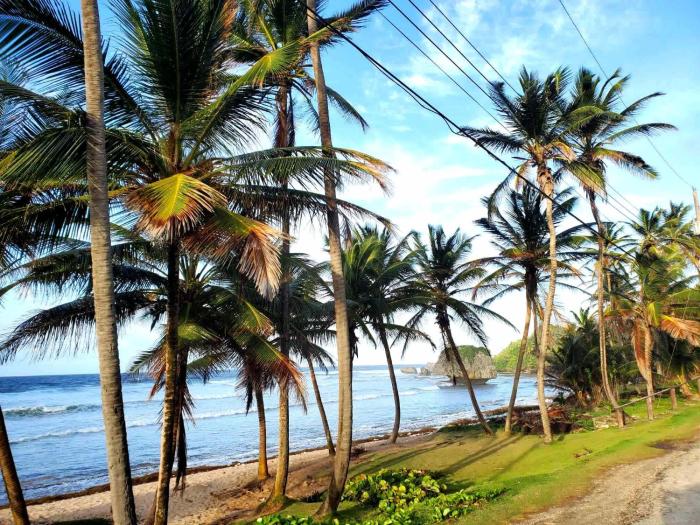 Beachy Cottage I Kitchen I Wi-Fi I Shaded Cabana I Parking