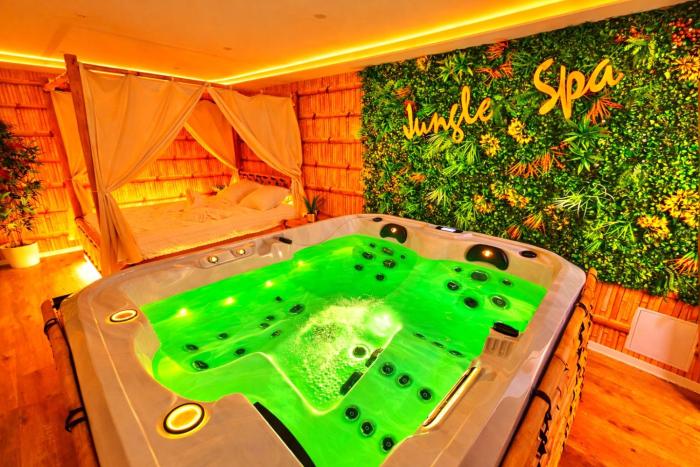 JUNGLE SPA-4 Pers-Jacuzzi-Parking-Jardin-Clim-Colmar