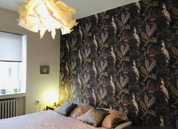 Big and comfortable apartment in the center