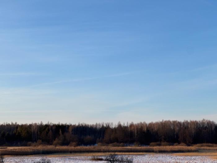 Domki nad rzeką Narew