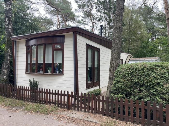 Viooltje in het bos I Knus chalet op de Veluwe