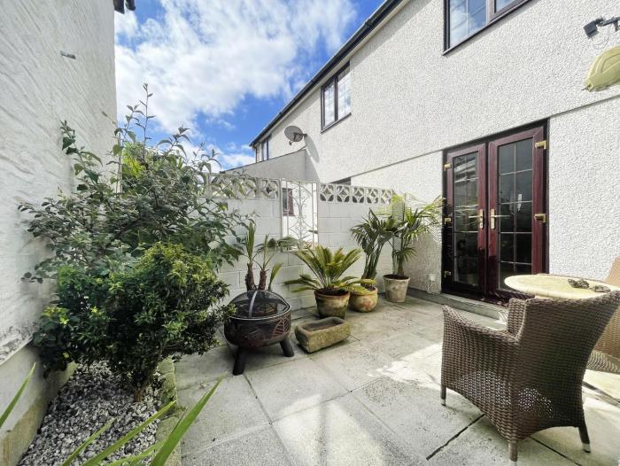 Driftwood Crantock sandy beach coastal walks