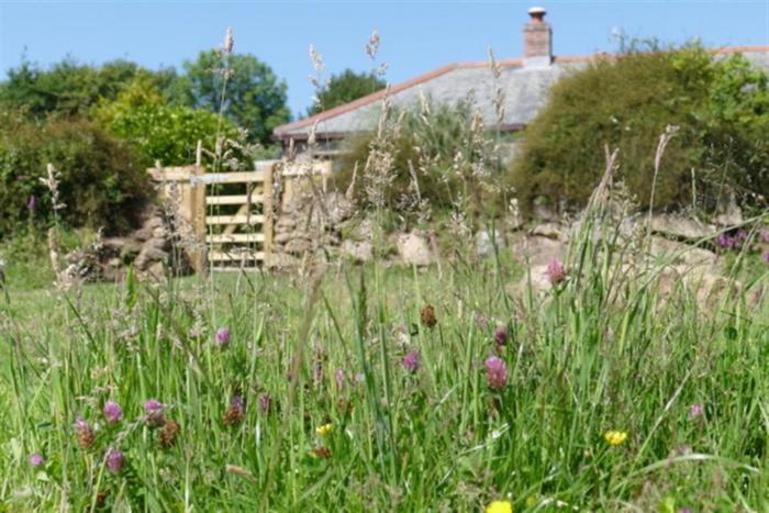 Tremerth Cottage Mousehole lovely country views