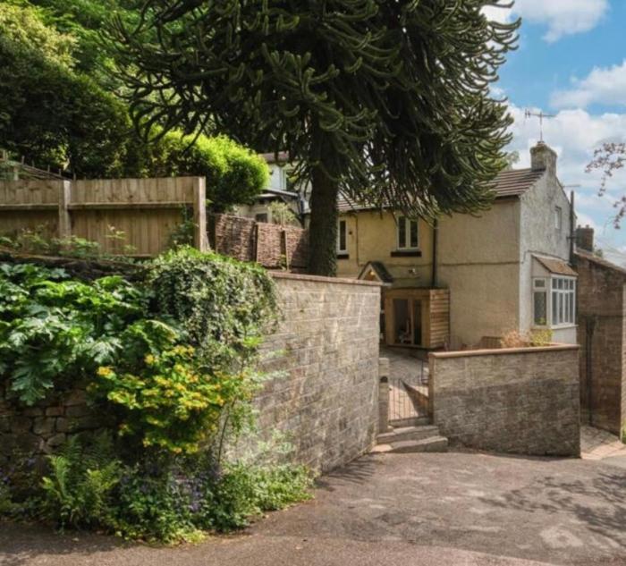 Monkey Puzzle cottage
