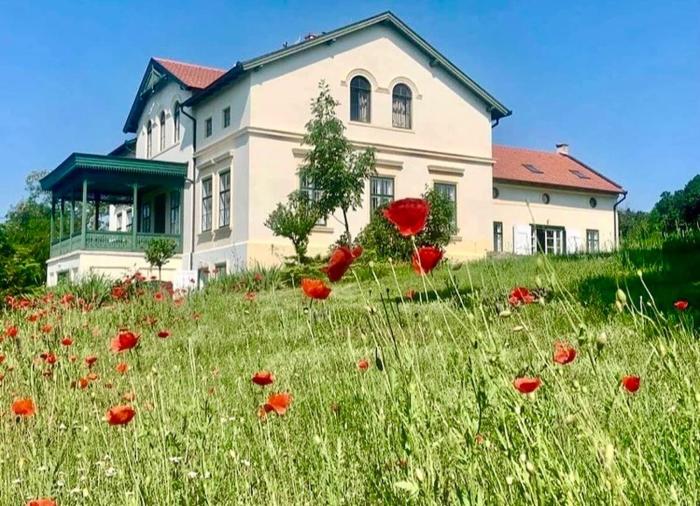 10-Minute Walk to Lake Balaton - Exclusive Castle