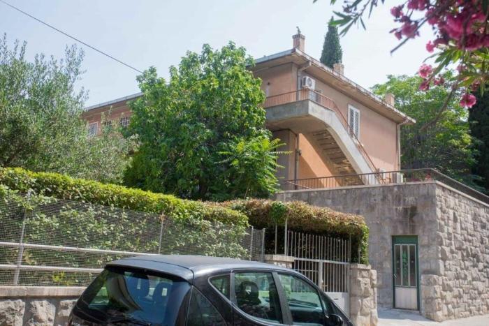 Apartment Green Rustic