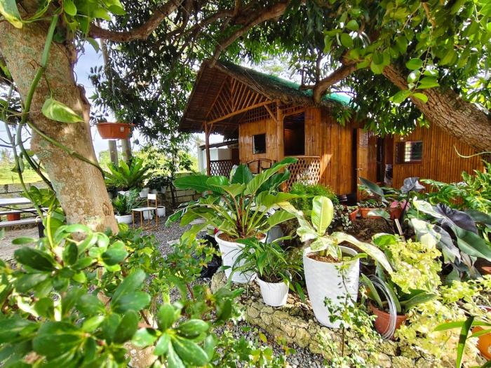 Traditional Native Bamboo Bungalow