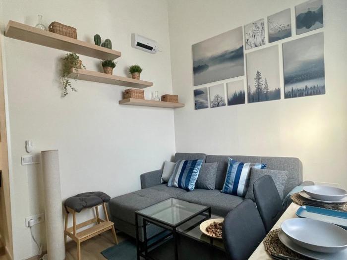 Studio one bedroom Arriaga St Madrid