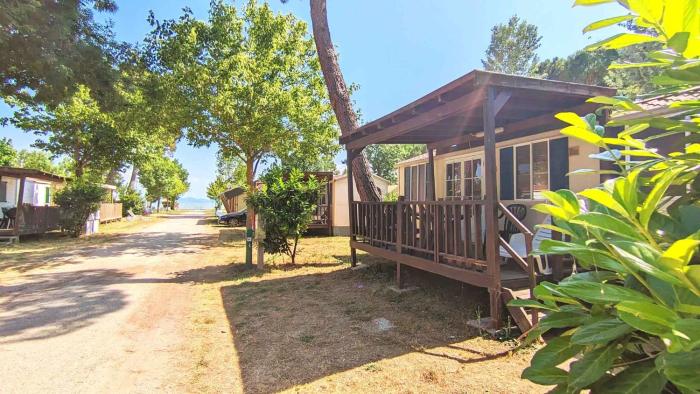 Camping Punta Navaccia am Trasimeno See 24274