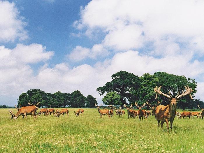 Deer Park Lookout - E3928