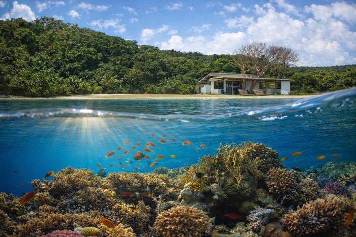 Lovely Caribbean Apartment with AC, Wifi, BBQ, Beach, Kitchen, Parking