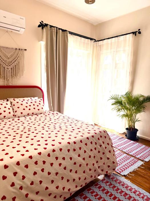 Cozy stylish city center close to nile river home