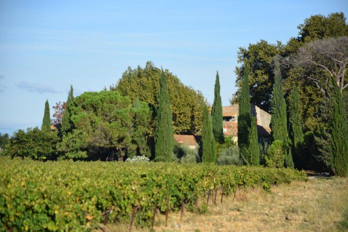 La Tanière du Renard