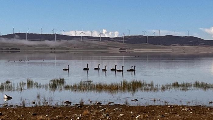 The Loft at Douglas Cottage