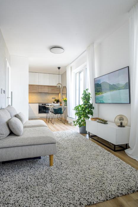 Luxury Flat in Brno GreeN SoHo