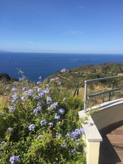 Villa tre fari allisola dElba