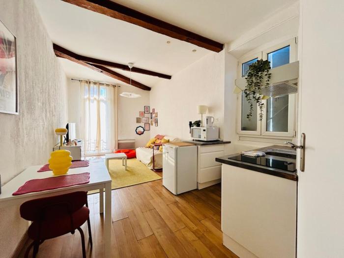 Studio Centre de Perpignan zone Castillet avec Wifi